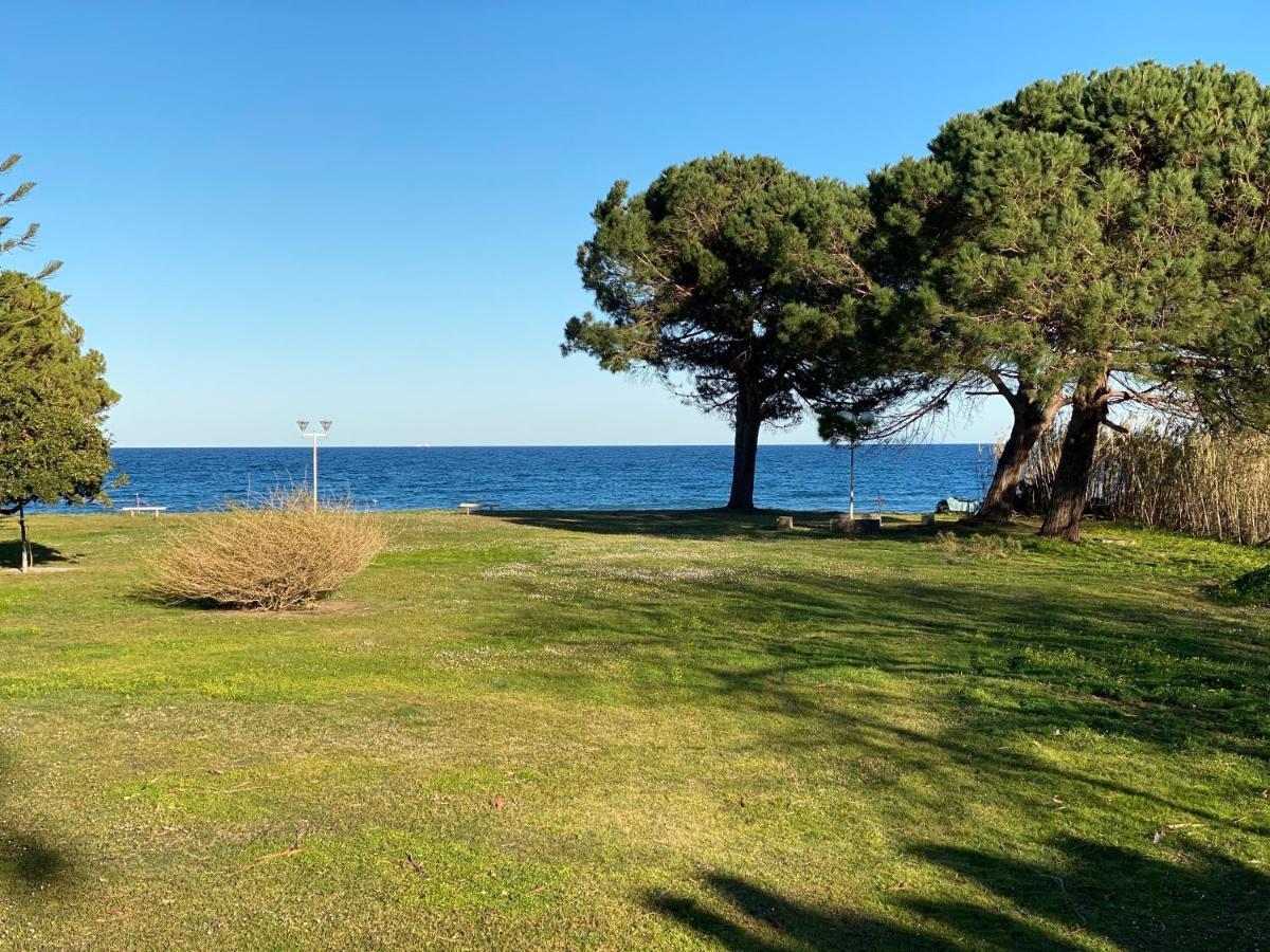 Residence Santa Lucia, Studio Avec Piscine , Vue Mer Et Pied Dans L'Eau , Moriani-Plage Bagian luar foto